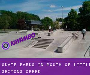 Skate Parks in Mouth of Little Sextons Creek