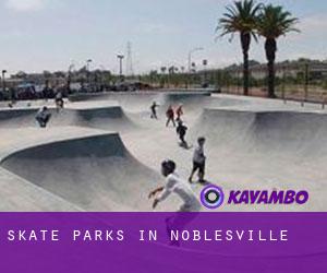 Skate Parks in Noblesville