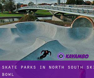 Skate Parks in North South Ski Bowl