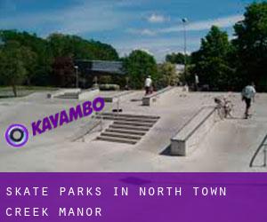 Skate Parks in North Town Creek Manor