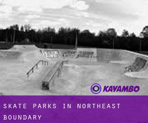 Skate Parks in Northeast Boundary