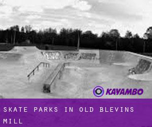 Skate Parks in Old Blevins Mill