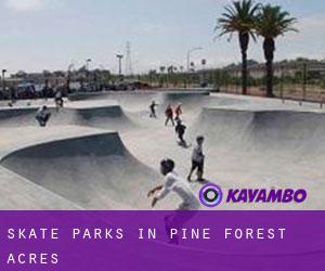 Skate Parks in Pine Forest Acres