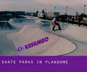 Skate Parks in Plandome