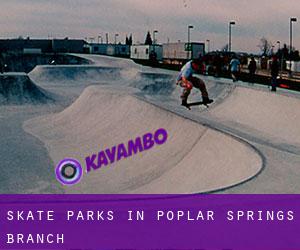 Skate Parks in Poplar Springs Branch