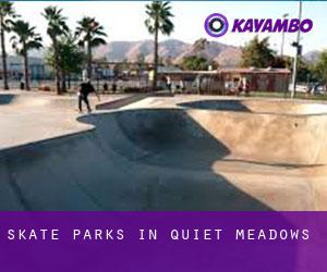 Skate Parks in Quiet Meadows