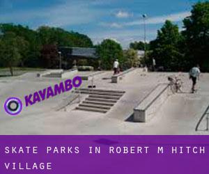 Skate Parks in Robert M Hitch Village
