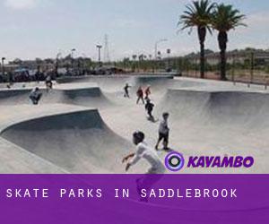 Skate Parks in Saddlebrook