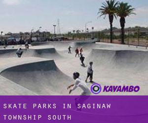 Skate Parks in Saginaw Township South
