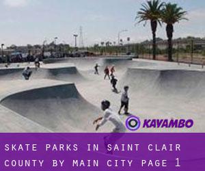 Skate Parks in Saint Clair County by main city - page 1