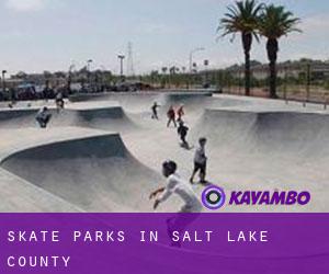 Skate Parks in Salt Lake County