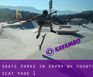 Skate Parks in Savoy by county seat - page 1