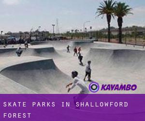 Skate Parks in Shallowford Forest