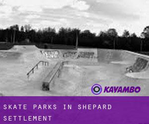 Skate Parks in Shepard Settlement