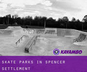 Skate Parks in Spencer Settlement