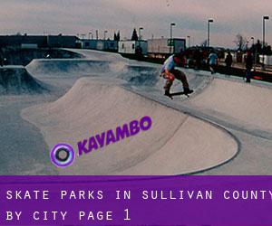 Skate Parks in Sullivan County by city - page 1