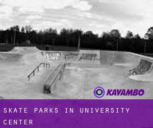 Skate Parks in University Center