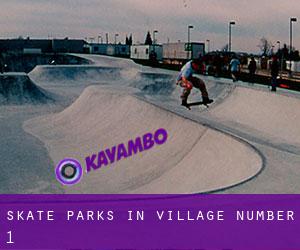 Skate Parks in Village Number 1