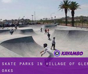 Skate Parks in Village of Glen Oaks
