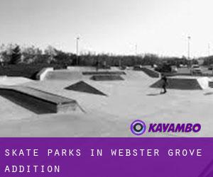 Skate Parks in Webster Grove Addition