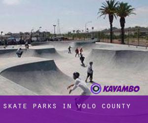 Skate Parks in Yolo County