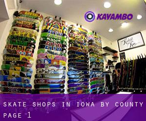 Skate Shops in Iowa by County - page 1