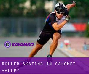 Roller Skating in Calomet Valley