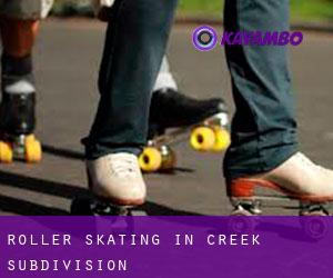 Roller Skating in Creek Subdivision