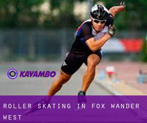Roller Skating in Fox Wander West