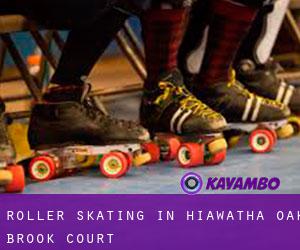 Roller Skating in Hiawatha Oak Brook Court
