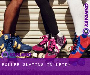 Roller Skating in Leidy