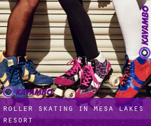 Roller Skating in Mesa Lakes Resort