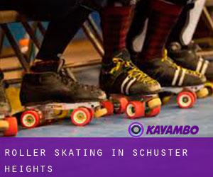 Roller Skating in Schuster Heights