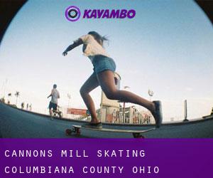 Cannons Mill skating (Columbiana County, Ohio)