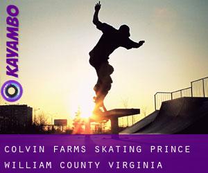 Colvin Farms skating (Prince William County, Virginia)