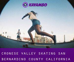 Cronese Valley skating (San Bernardino County, California)