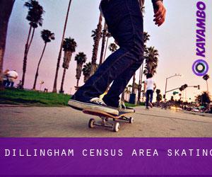 Dillingham Census Area skating