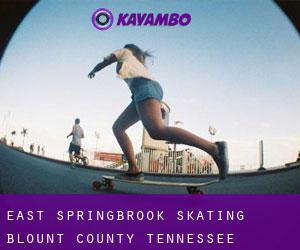 East Springbrook skating (Blount County, Tennessee)