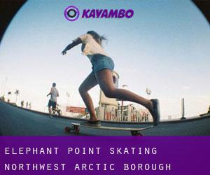 Elephant Point skating (Northwest Arctic Borough, Alaska)
