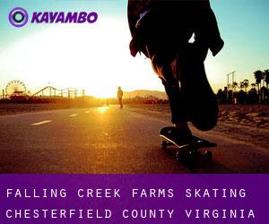 Falling Creek Farms skating (Chesterfield County, Virginia)