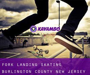 Fork Landing skating (Burlington County, New Jersey)