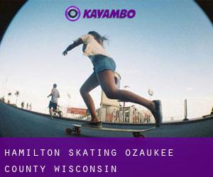 Hamilton skating (Ozaukee County, Wisconsin)