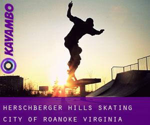 Herschberger Hills skating (City of Roanoke, Virginia)