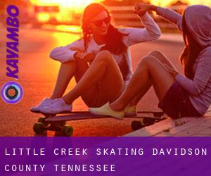 Little Creek skating (Davidson County, Tennessee)