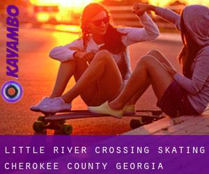 Little River Crossing skating (Cherokee County, Georgia)