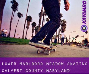 Lower Marlboro Meadow skating (Calvert County, Maryland)