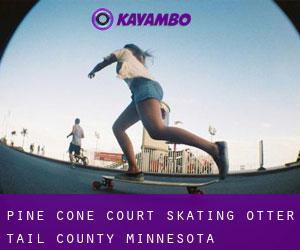 Pine Cone Court skating (Otter Tail County, Minnesota)