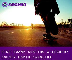 Pine Swamp skating (Alleghany County, North Carolina)