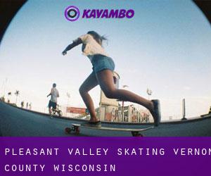 Pleasant Valley skating (Vernon County, Wisconsin)
