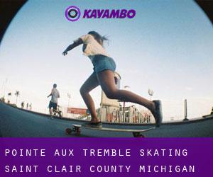 Pointe aux Tremble skating (Saint Clair County, Michigan)
